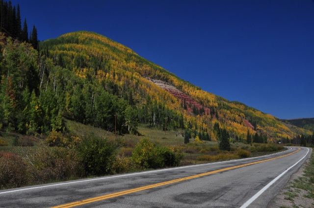 colors along the highway 145